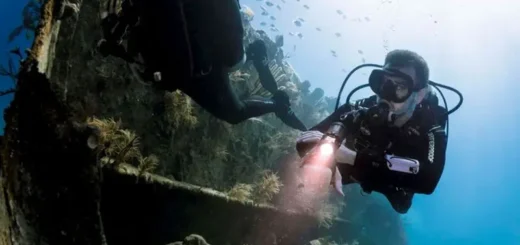 Marlborough Sounds Wreck diving nz