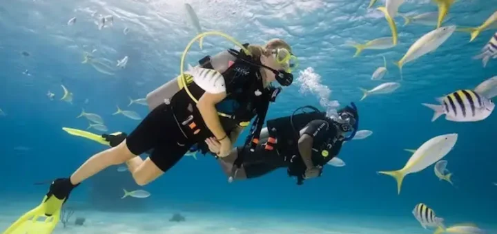 The Basics of Scuba Diving-What You Need to Know Before You Start